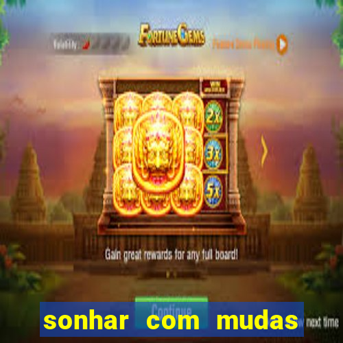 sonhar com mudas de plantas