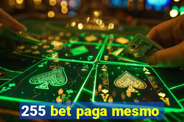 255 bet paga mesmo