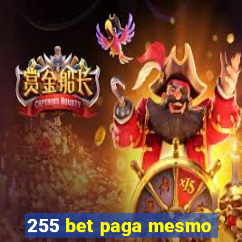 255 bet paga mesmo