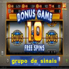 grupo de sinais trader telegram