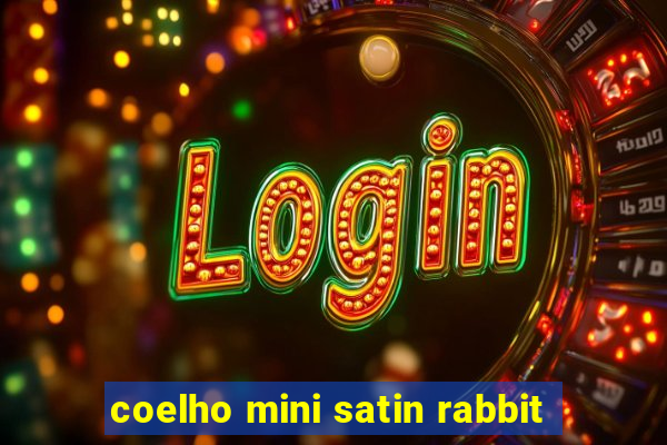 coelho mini satin rabbit