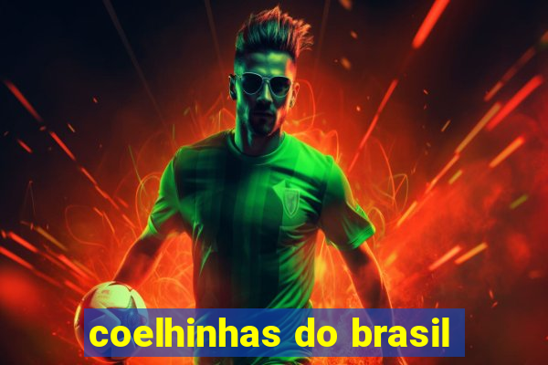 coelhinhas do brasil