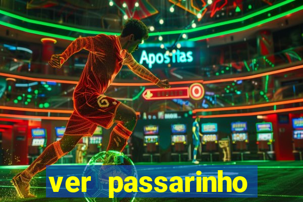 ver passarinho morto significado espiritual