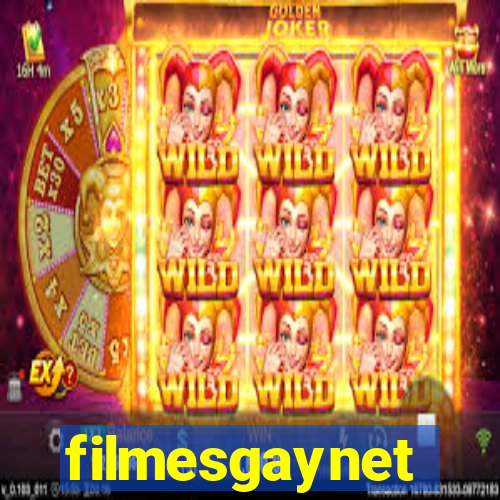 filmesgaynet