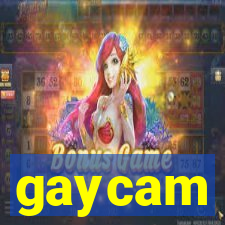 gaycam