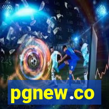 pgnew.co