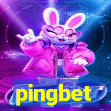 pingbet