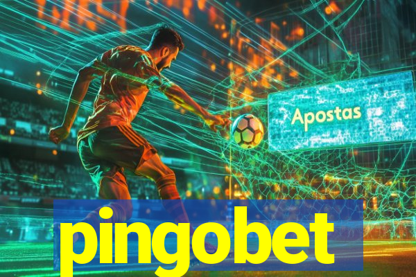 pingobet