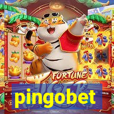 pingobet