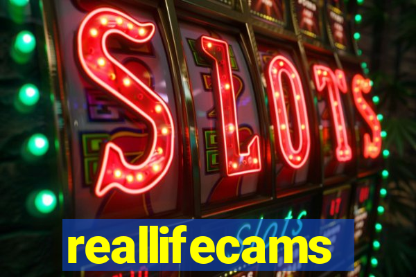 reallifecams