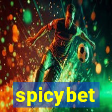 spicybet-5.com