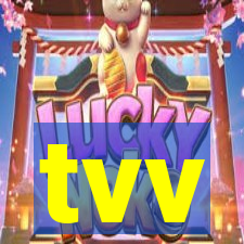 tvv-pg.com