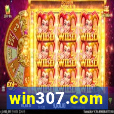 win307.com