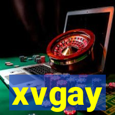 xvgay